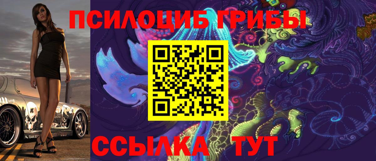 Псилоцибиновые грибы MAGIC MUSHROOMS  Вход с VPN  Сунжа 