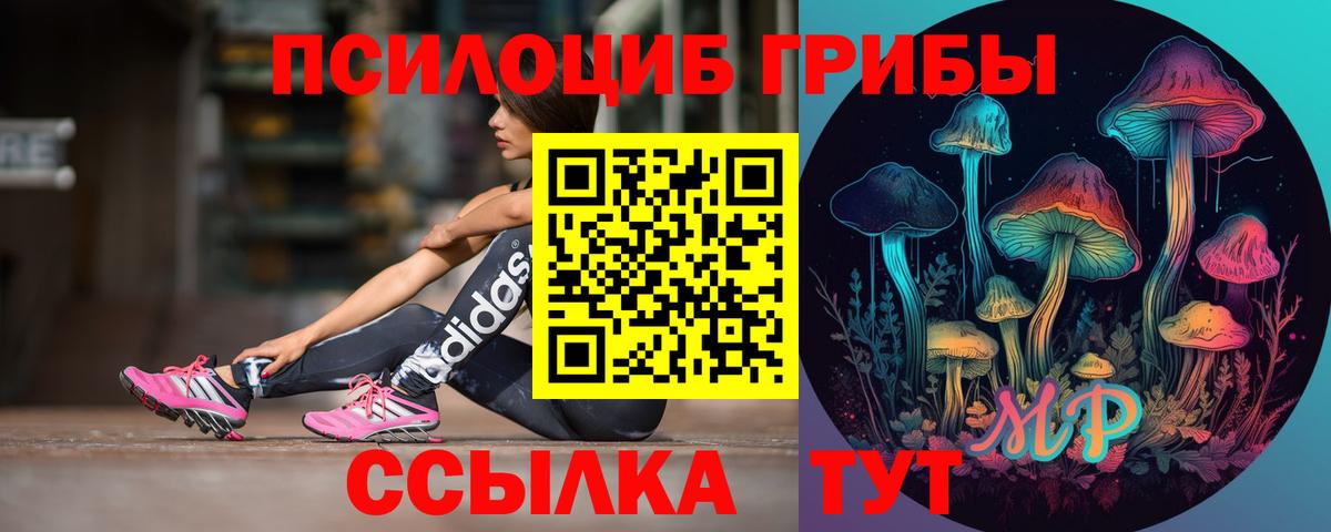 Псилоцибиновые грибы мухоморы Сунжа